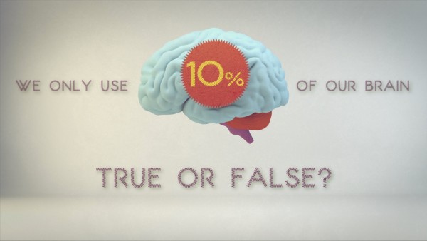 brain