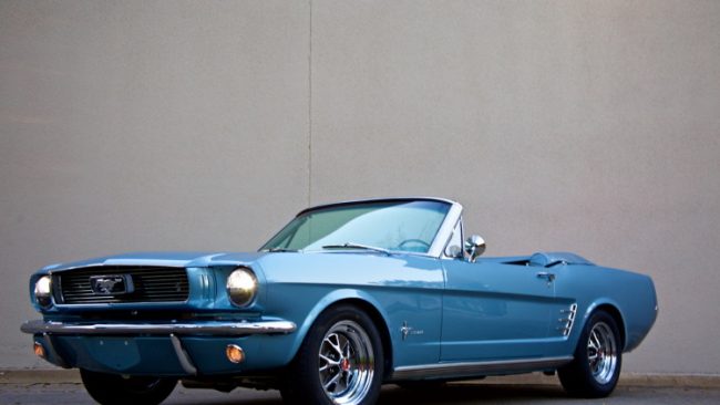mustang